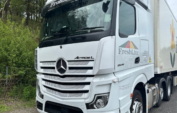Stripe Image - Mercedes Trucks